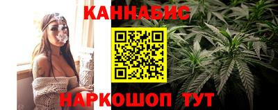 крисы Шахты